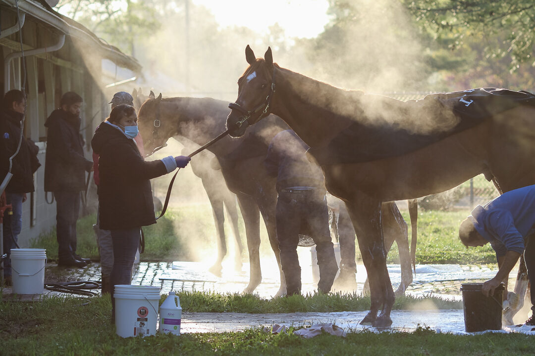 Pletcher Derby horses.jpg